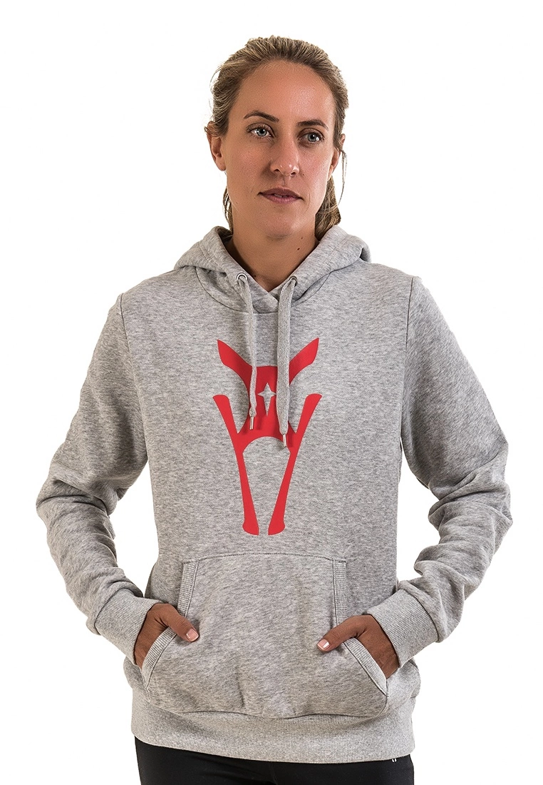 Amnig Icon Pullover Hoodie (Grey)