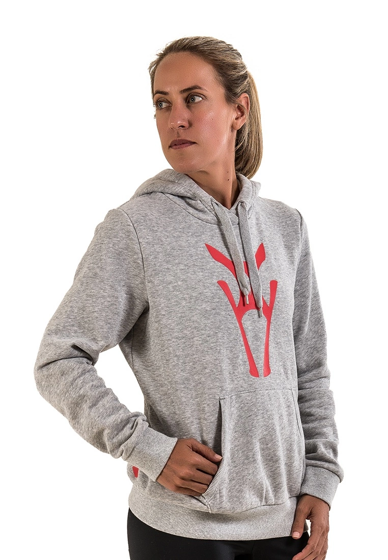 Amnig Icon Pullover Hoodie (Grey) - Image 2