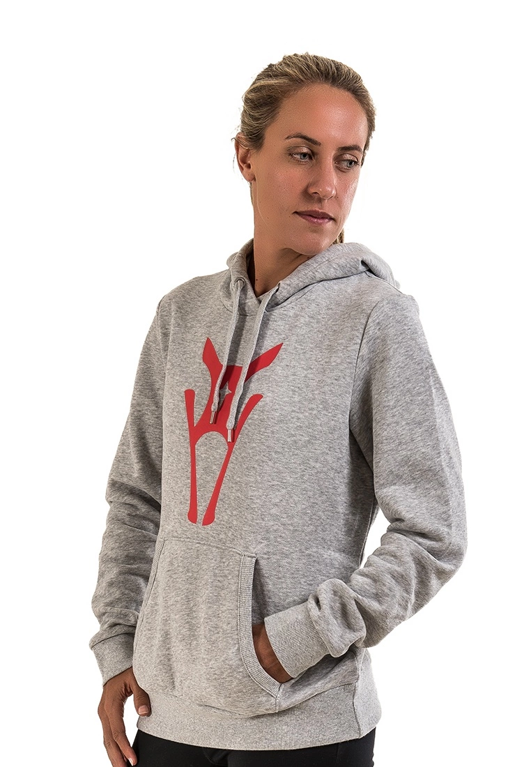 Amnig Icon Pullover Hoodie (Grey) - Image 3