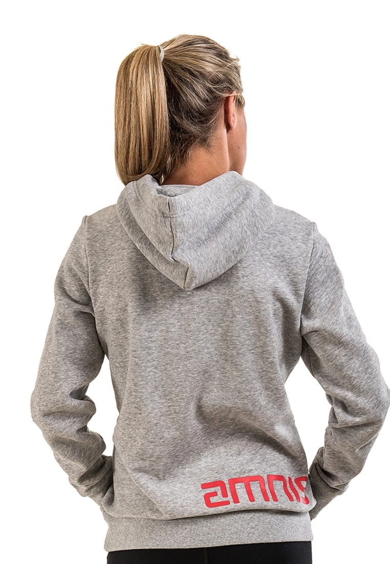 Amnig Icon Pullover Hoodie (Grey) - Image 4
