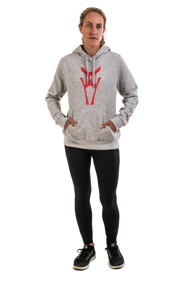 Amnig Icon Pullover Hoodie (Grey) - Image 5